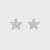 #color_rose gold