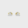 #color_yellow gold
